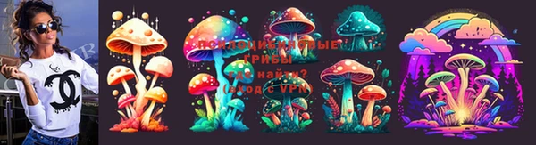 MDMA Белокуриха